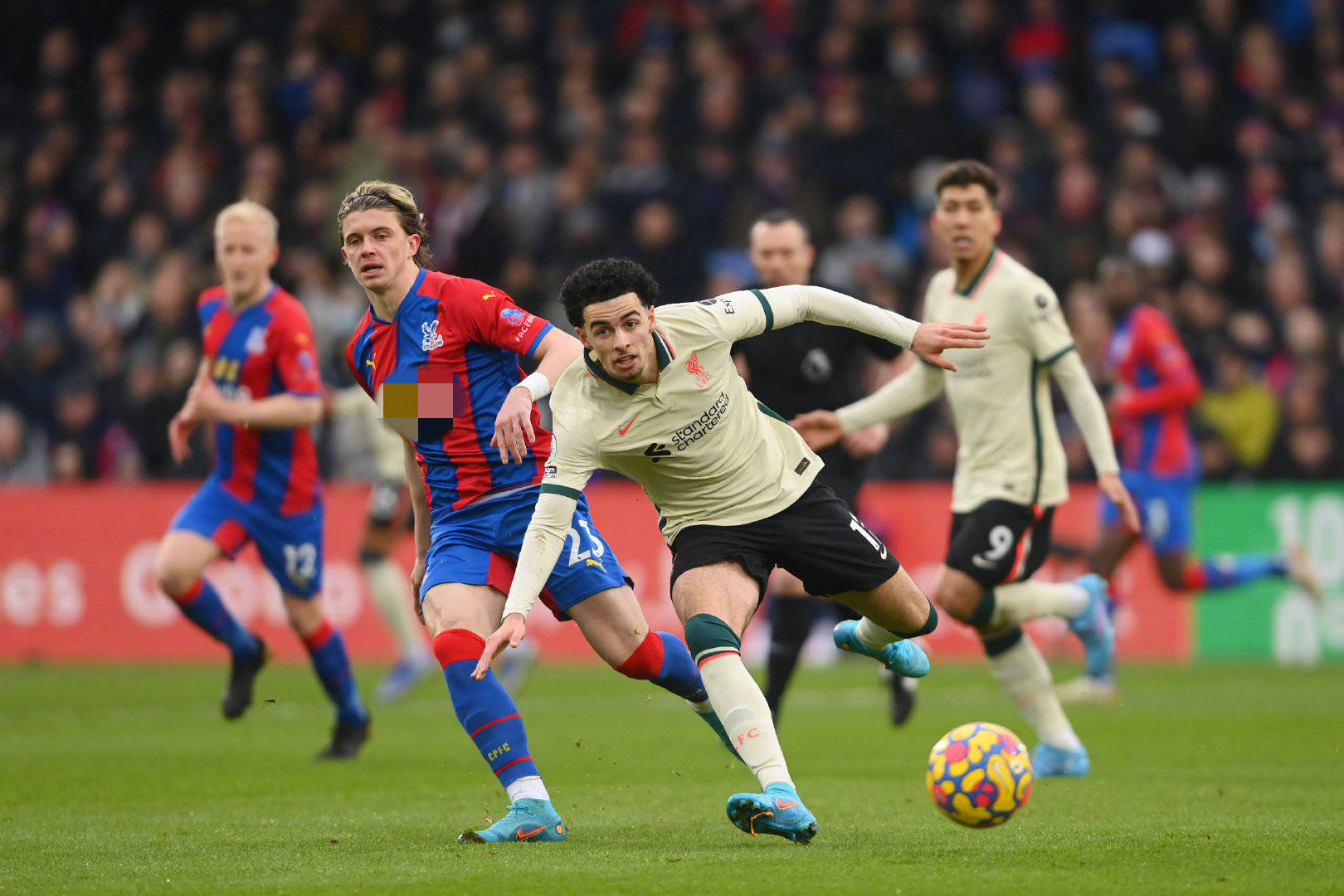 新任主帅菜 新任主帅菜