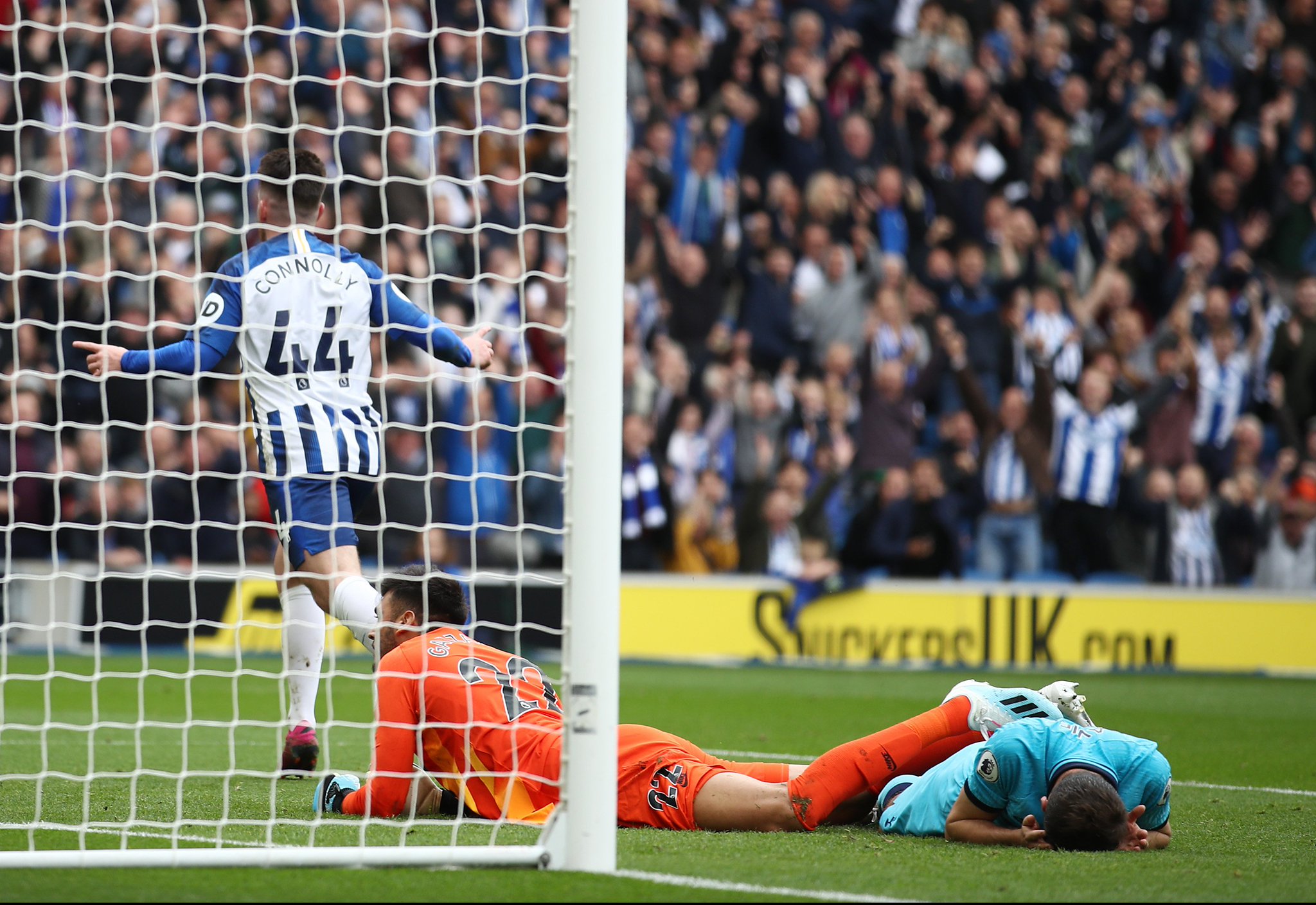 猛龙的特点 猛龙的特点